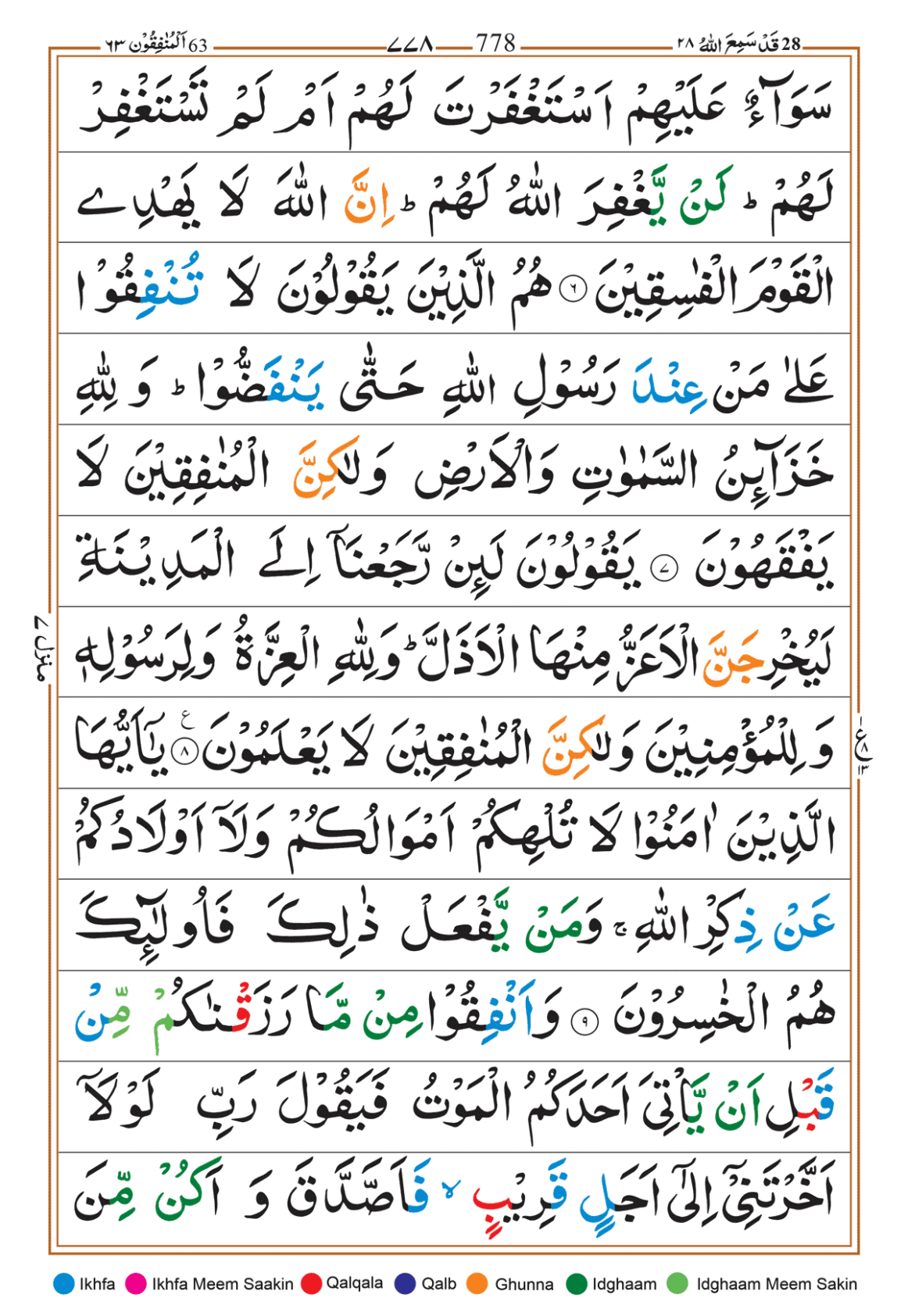 Page Background