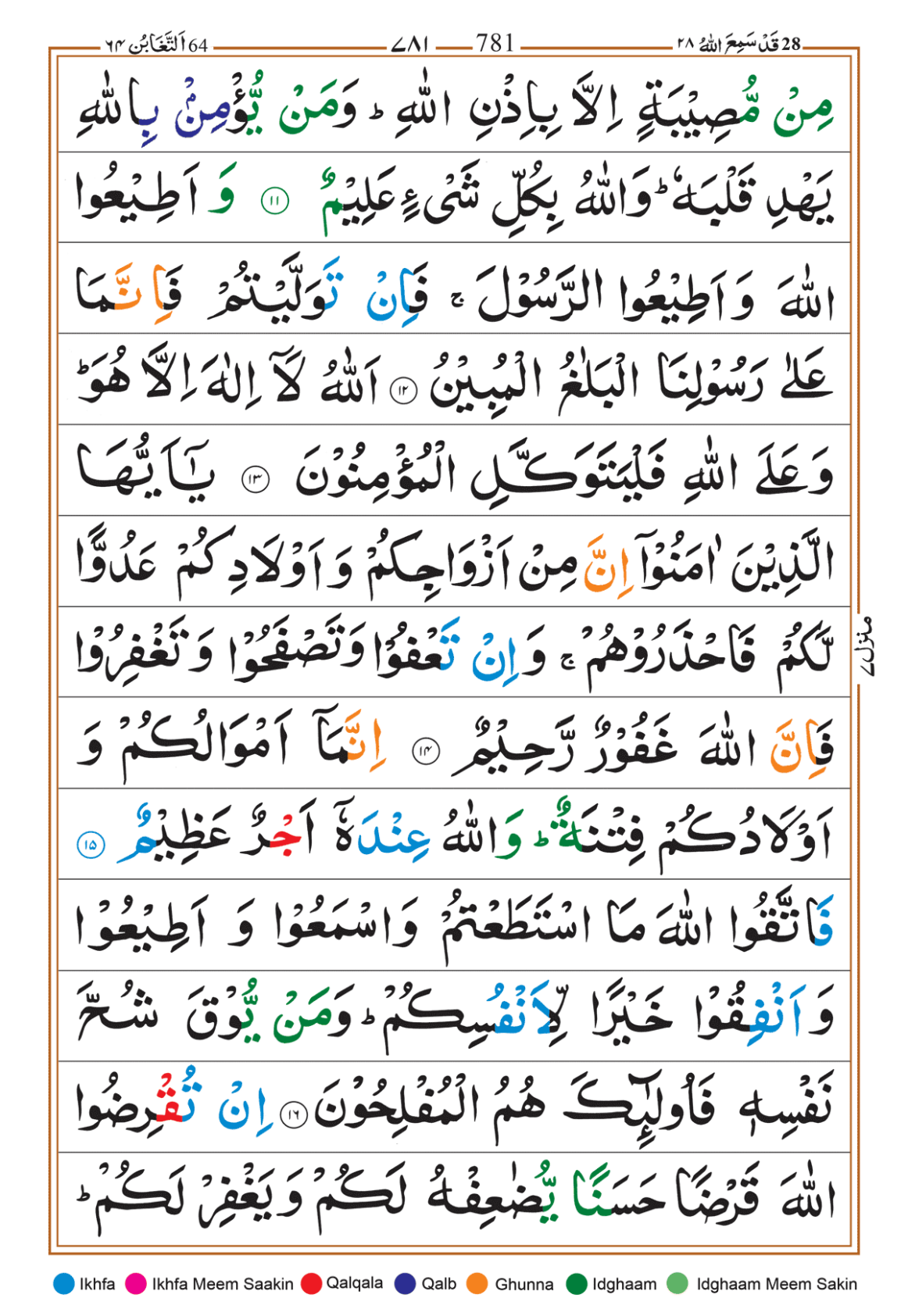 Page Background