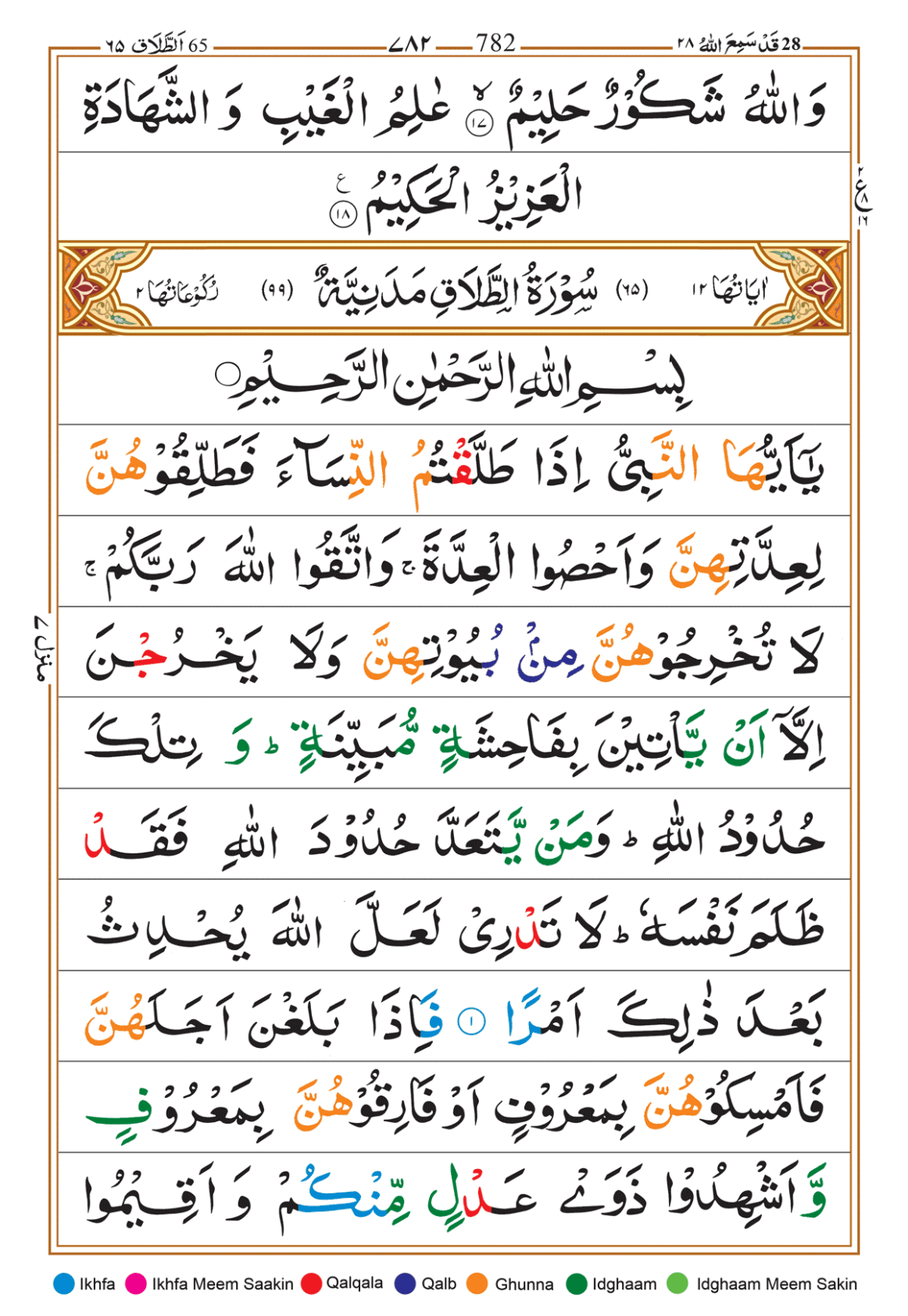 Page Background