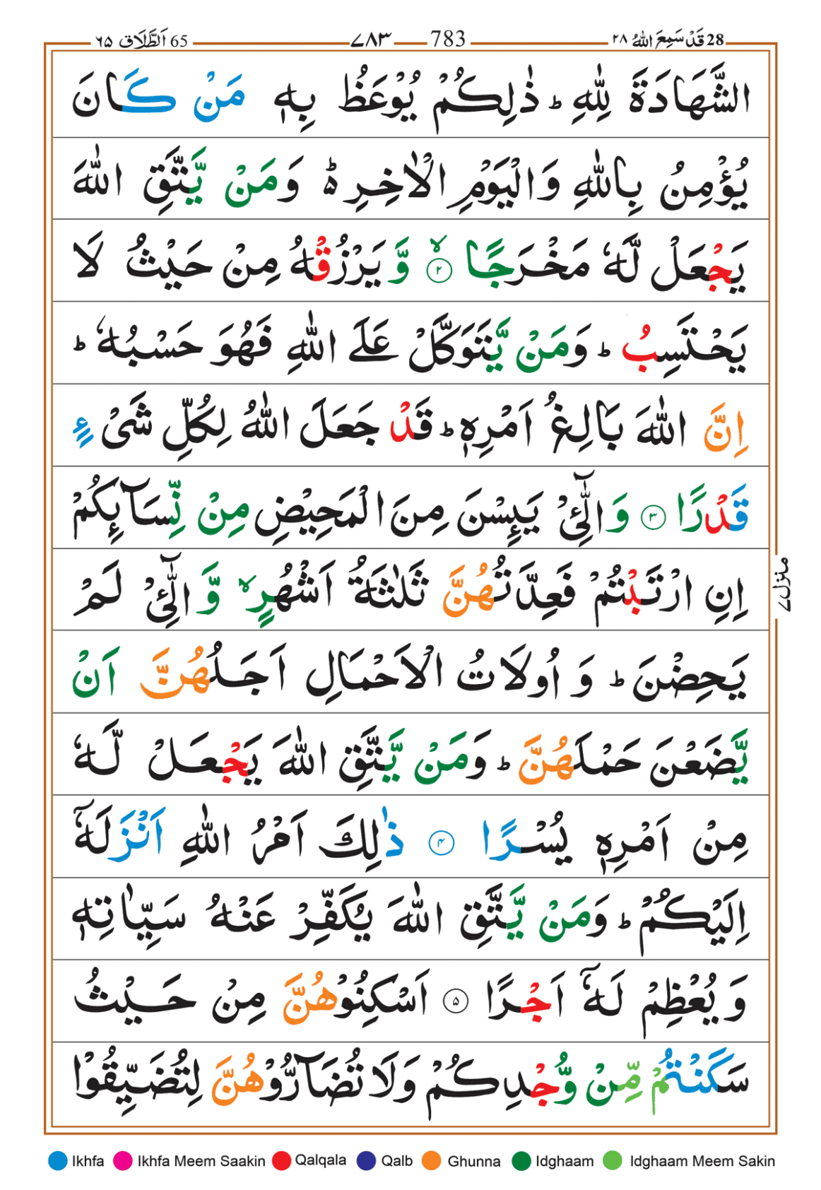 Page Background