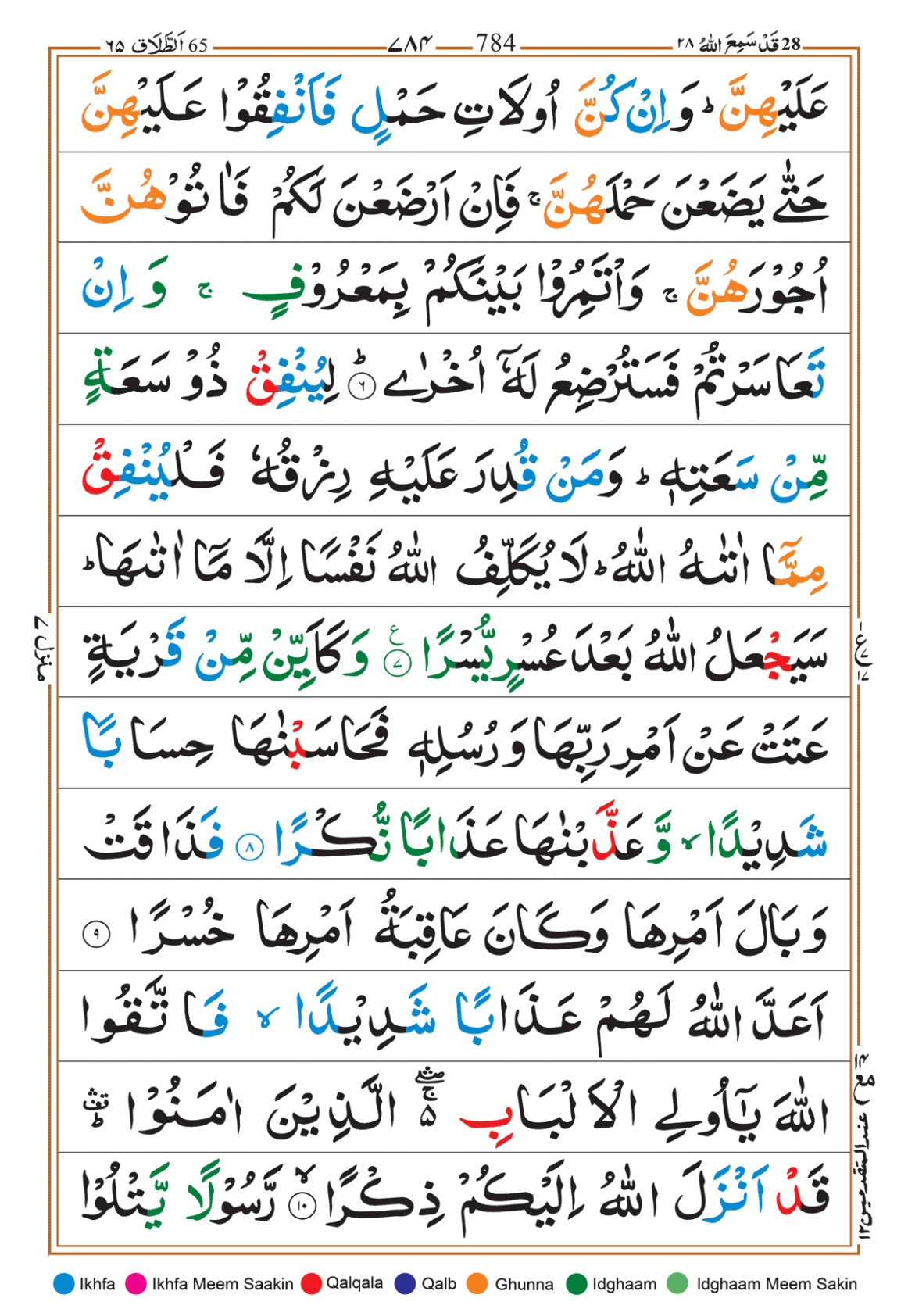Page Background