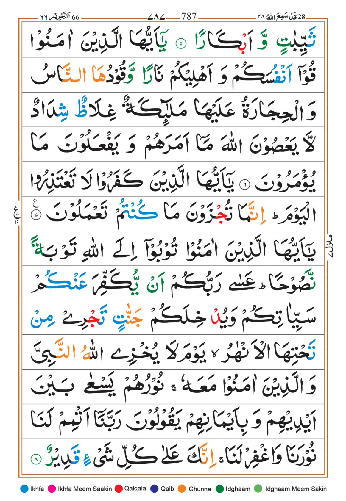 Page Background