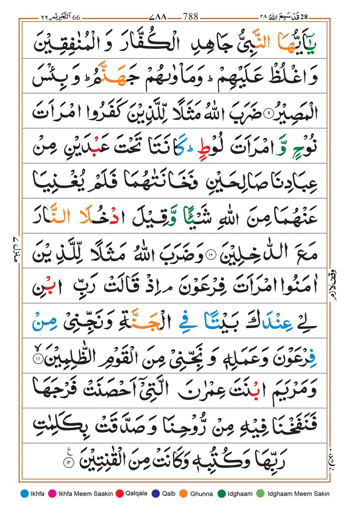 Page Background