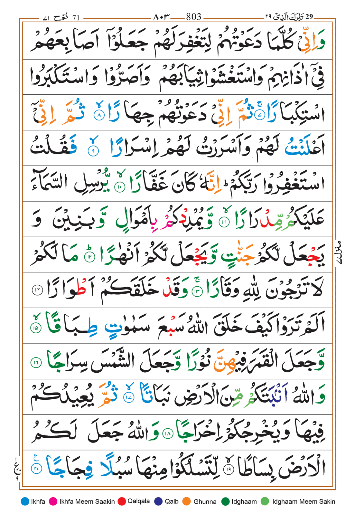 Page Background