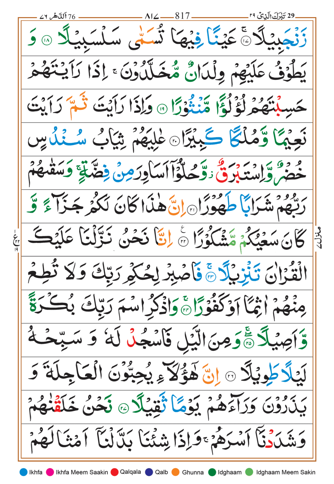 Page Background