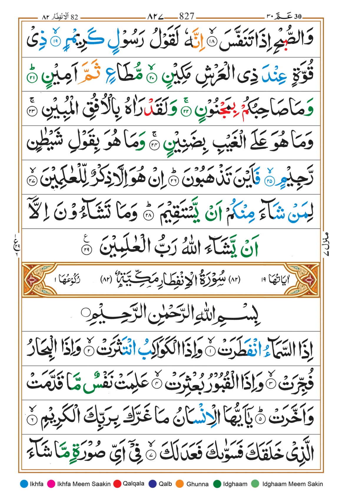 Page Background