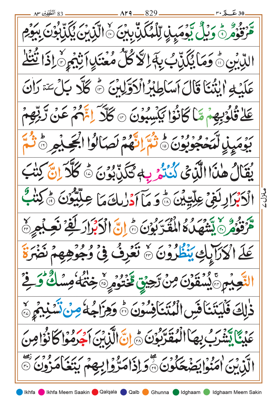 Page Background