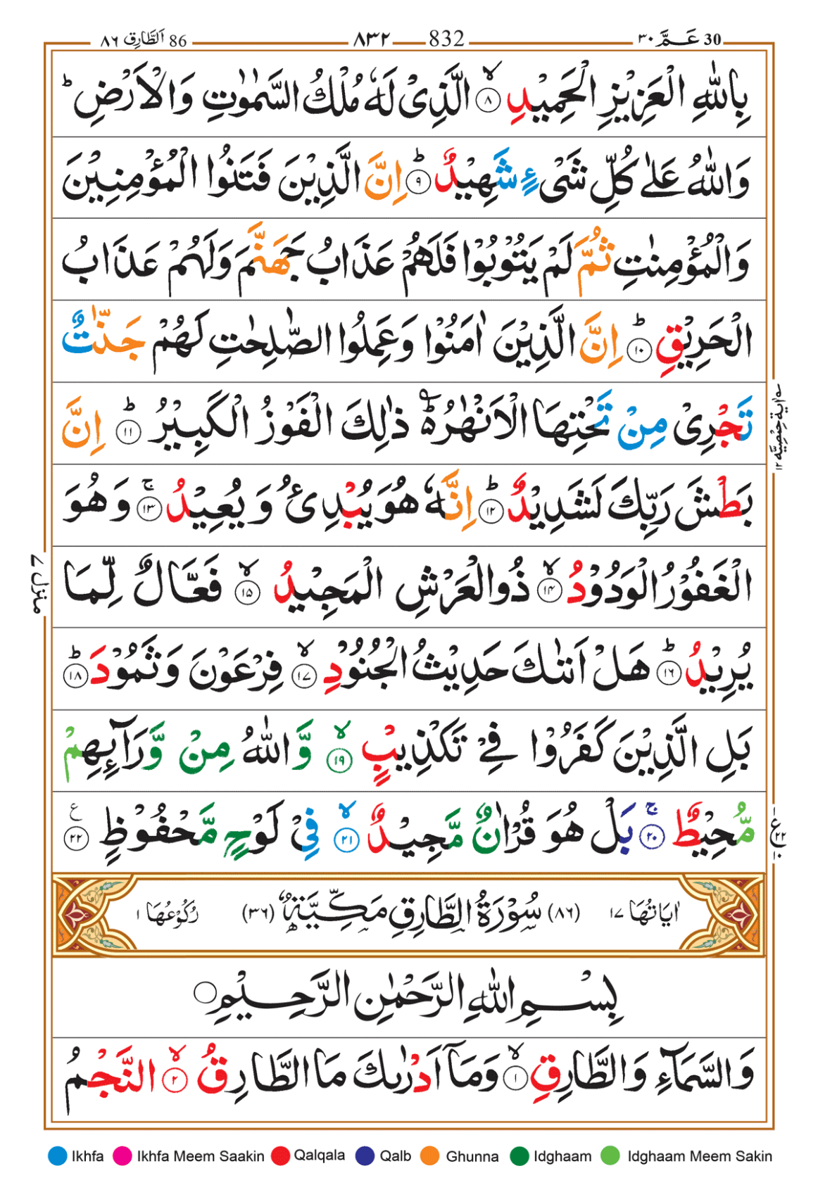 Page Background