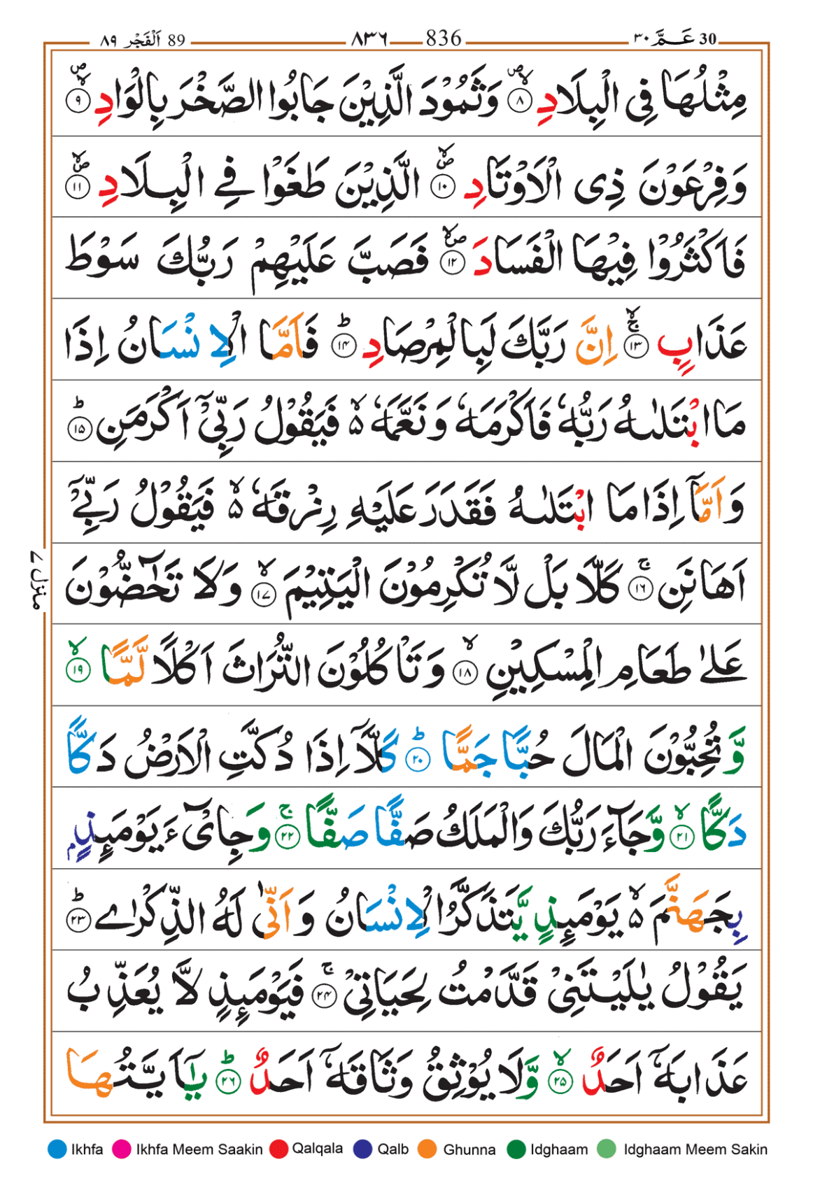 Page Background
