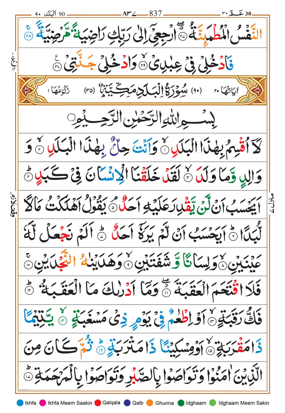 Page Background