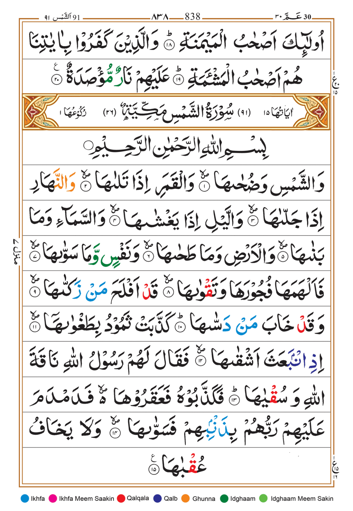 Page Background