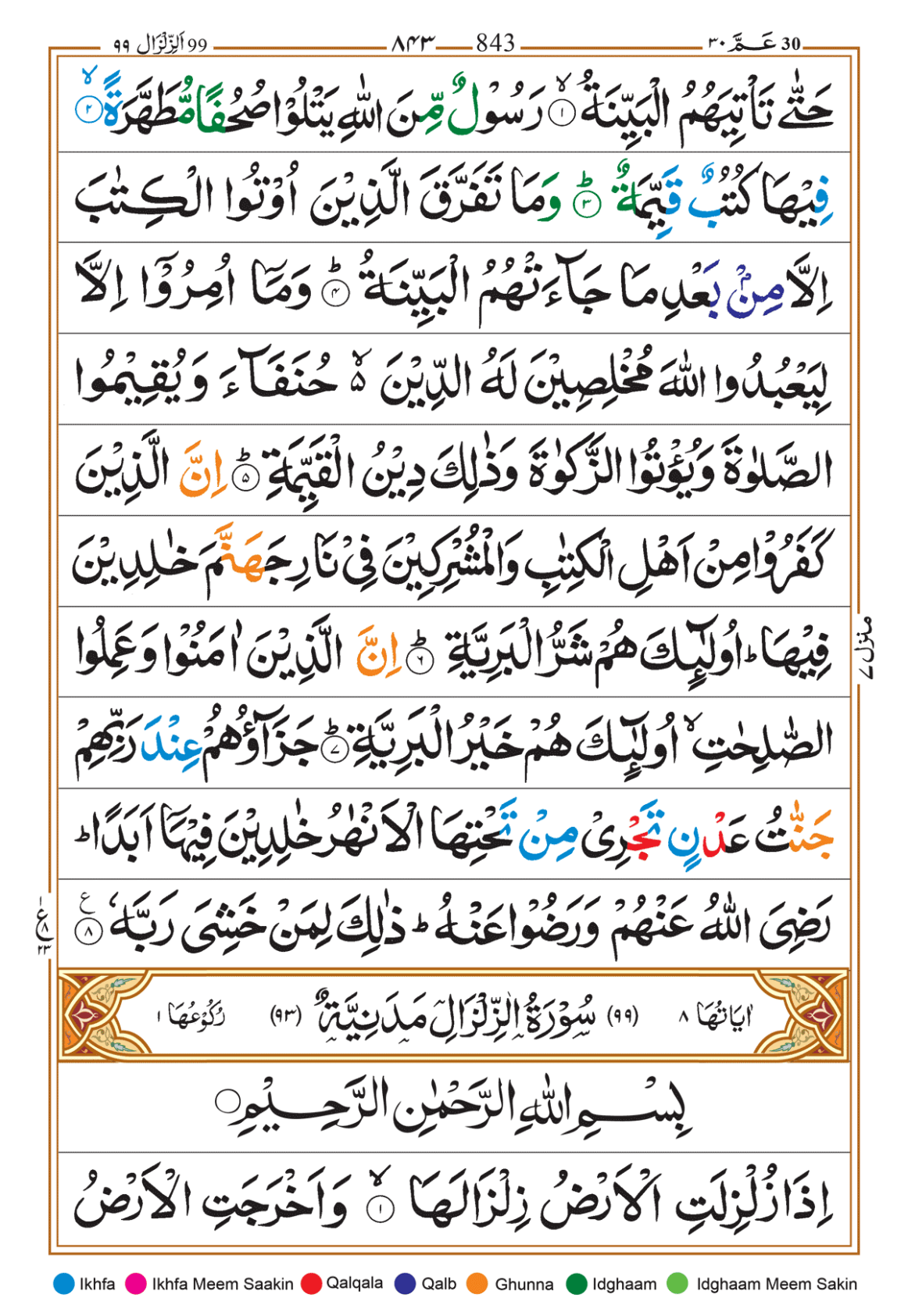 Page Background