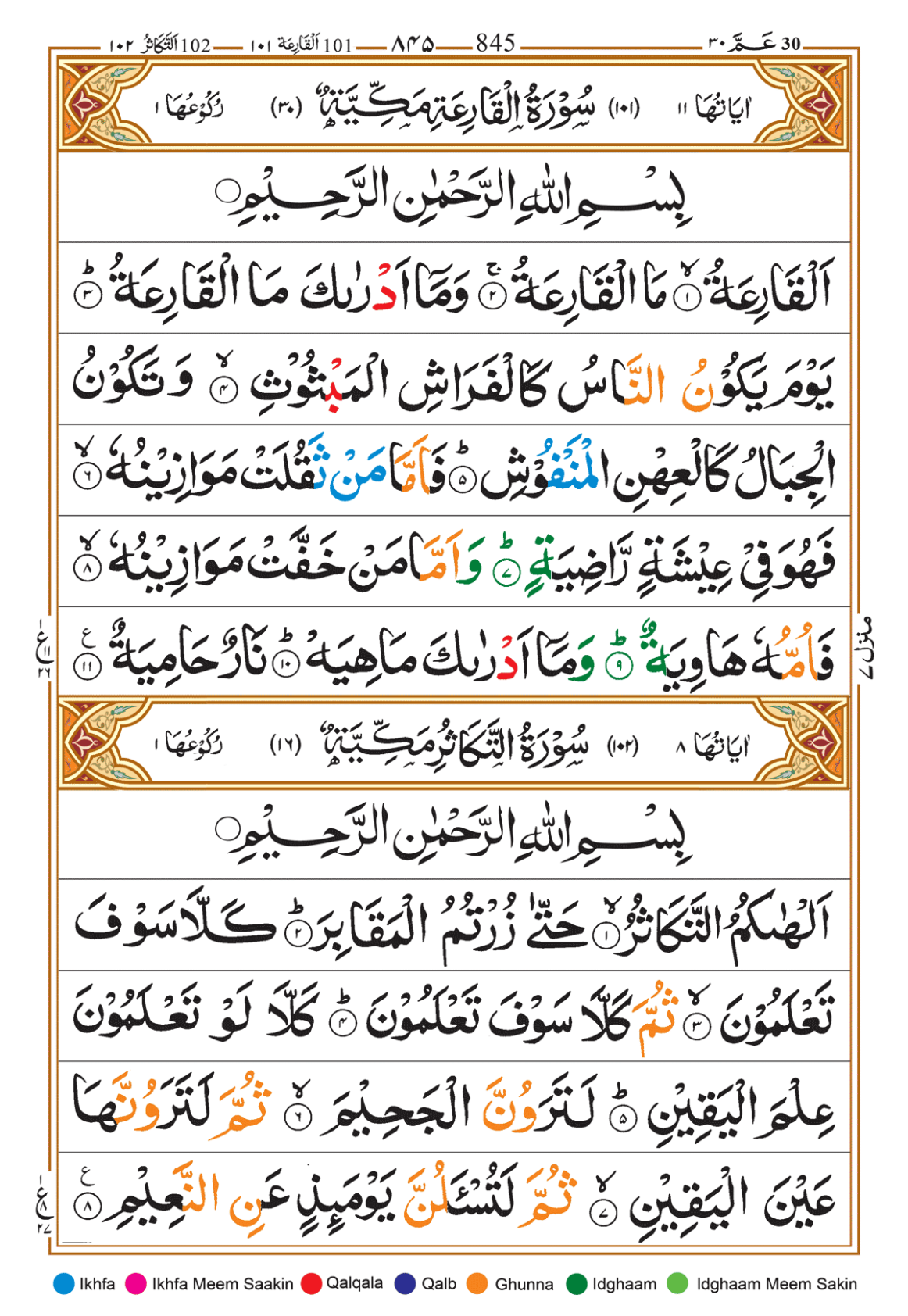 Page Background